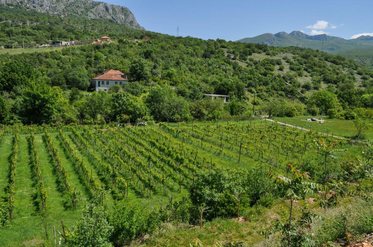 Djukic Winery Podgorica Exterior foto